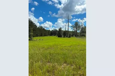 0 SW Cardinal Avenue, Dunnellon, FL 34431 - Photo 1