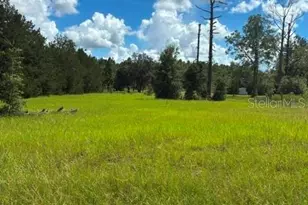 0 SW Cardinal Ave, Dunnellon, FL 34431 - Photo 1