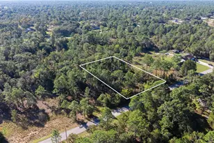 5756 W Connetquot Pl, Dunnellon, FL 34433 - Photo 1