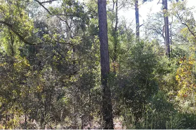 5756 W Connetquot Place, Dunnellon, FL 34433 - Photo 5