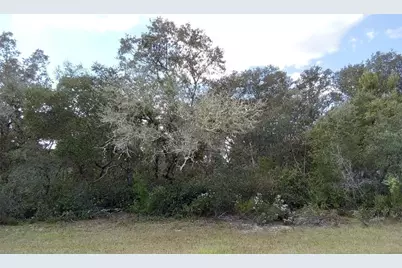 Sw 24th Circle, Ocala, FL 34473 - Photo 1