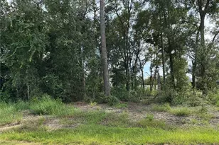 SE 159th Pl, Summerfield, FL 34491 - Photo 1