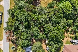 SE 91st Ct, Summerfield, FL 34491 - Photo 1