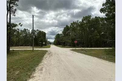 16118 Marsh Quail Road, Weeki Wachee, FL 34614 - Photo 7