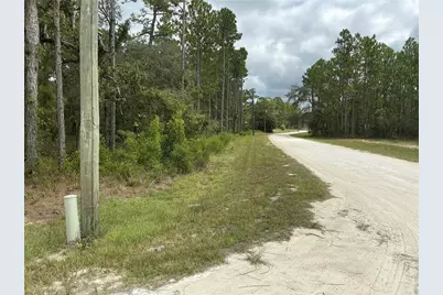 16118 Marsh Quail Road, Weeki Wachee, FL 34614 - Photo 5