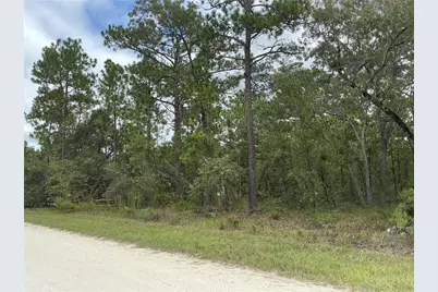 16118 Marsh Quail Road, Weeki Wachee, FL 34614 - Photo 3