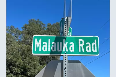 115 Malauka Radial, Ocklawaha, FL 32179 - Photo 45
