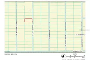Tbd SW Sands Point Ave, Dunnellon, FL 34431 - Photo 1