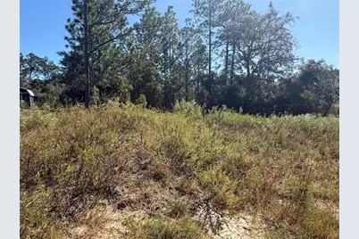 Lot 42 SW Azalea Court, Dunnellon, FL 34431 - Photo 5