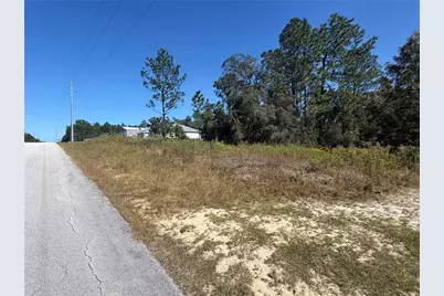 Lot 42 SW Azalea Court, Dunnellon, FL 34431 - Photo 3