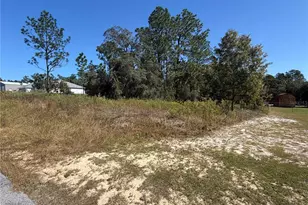 Lot 42 SW Azalea Ct, Dunnellon, FL 34431 - Photo 1