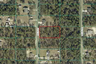 Tbd SW 137th Ct, Dunnellon, FL 34432 - Photo 1