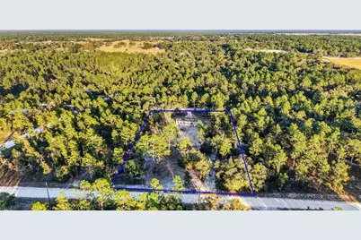 170 NE 138th Avenue, Williston, FL 32696 - Photo 5