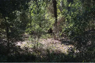 00 Southeast Avenue, Ridge Manor Estates, FL 33597 - Photo 1