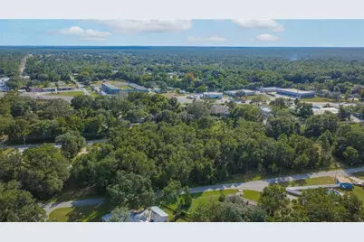 3817 E Forest Drive, Inverness, FL 34453 - Photo 5