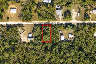 Tbd NE 133rd St, Salt Springs, FL 32134 - Photo 1