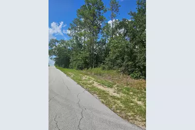 Tbd SW Zinnia Court, Dunnellon, FL 34431 - Photo 5