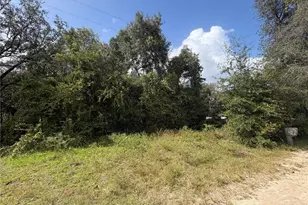 Tbd NE 168 Ct, Silver Springs, FL 34488 - Photo 1