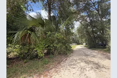Tbd NE 168 Court, Silver Springs, FL 34488 - Photo 5