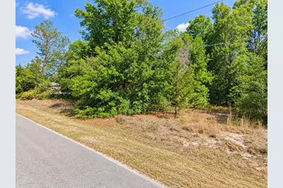 Se 108th Place, Belleview, FL 34420 - Photo 3