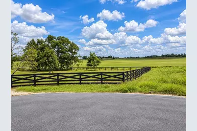 17951 SE 62nd Street, Morriston, FL 32668 - Photo 29