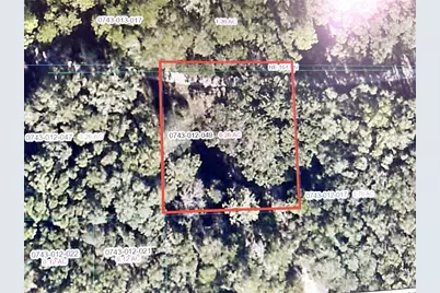2878 NE 164th Lane, Citra, FL 32113 - Photo 1