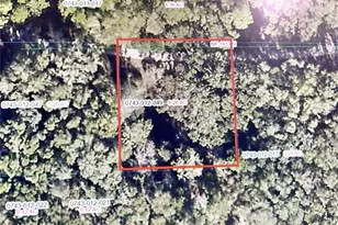 2878 NE 164th Ln, Citra, FL 32113 - Photo 1