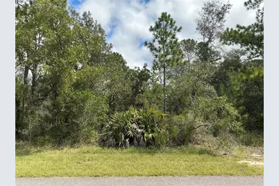 12510 Marbled Godwit Road, Weeki Wachee, FL 34614 - Photo 1