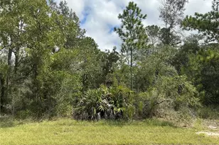 12510 Marbled Godwit Rd, Weeki Wachee, FL 34614 - Photo 1