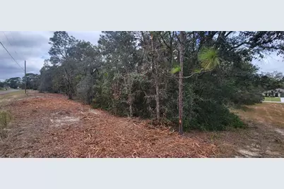 9172 N Marcus Way, Dunnellon, FL 34433 - Photo 3