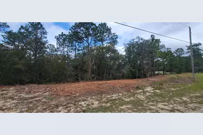 9172 N Marcus Way, Dunnellon, FL 34433 - Photo 1