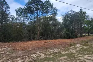 9172 N Marcus Way, Dunnellon, FL 34433 - Photo 1