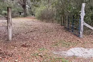 1730 S Palm Ave, Homosassa, FL 34448 - Photo 7