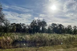 Lot 34 SW Marigold Ct, Dunnellon, FL 34431 - Photo 1