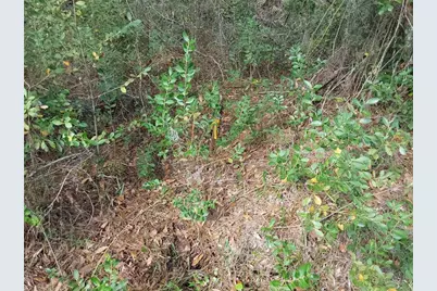 Lot 29 S Shore Drive, Lake Wales, FL 33898 - Photo 9