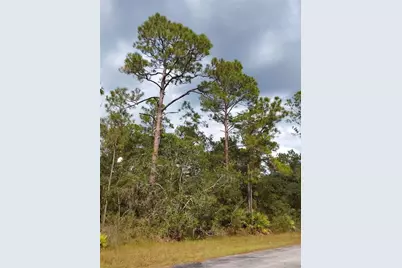 Lot 29 S Shore Drive, Lake Wales, FL 33898 - Photo 11