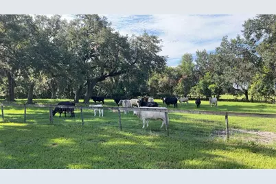 4880 Bannon Island Road, Haines City, FL 33844 - Photo 5