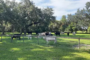 4880 Bannon Island Rd, Haines City, FL 33844 - Photo 5