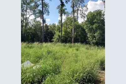 Pollard Road, Winter Haven, FL 33884 - Photo 7