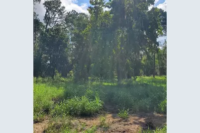 Pollard Road, Winter Haven, FL 33884 - Photo 9