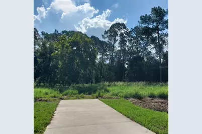 Pollard Road, Winter Haven, FL 33884 - Photo 5