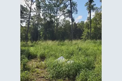 Pollard Road, Winter Haven, FL 33884 - Photo 17