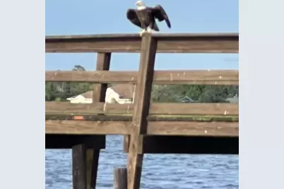 1002 Gardenia Drive, Lake Wales, FL 33898 - Photo 13