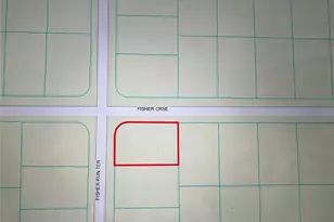 0 Fisher Crse, Ocklawaha, FL 32179 - Photo 1