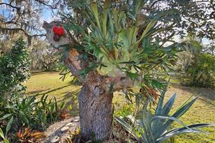 92 Constitution Ln, Frostproof, FL 33843 - Photo 27