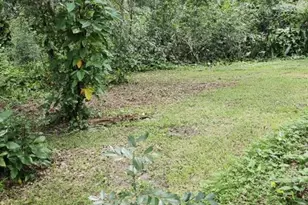 4450 Old Berkley Rd, Auburndale, FL 33823 - Photo 43