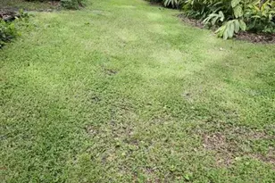 4450 Old Berkley Rd, Auburndale, FL 33823 - Photo 41