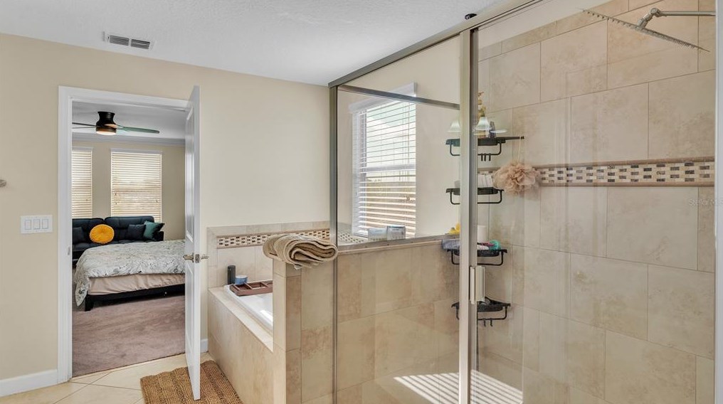 11928 Frost Aster Dr, Riverview FL  33579 exterior