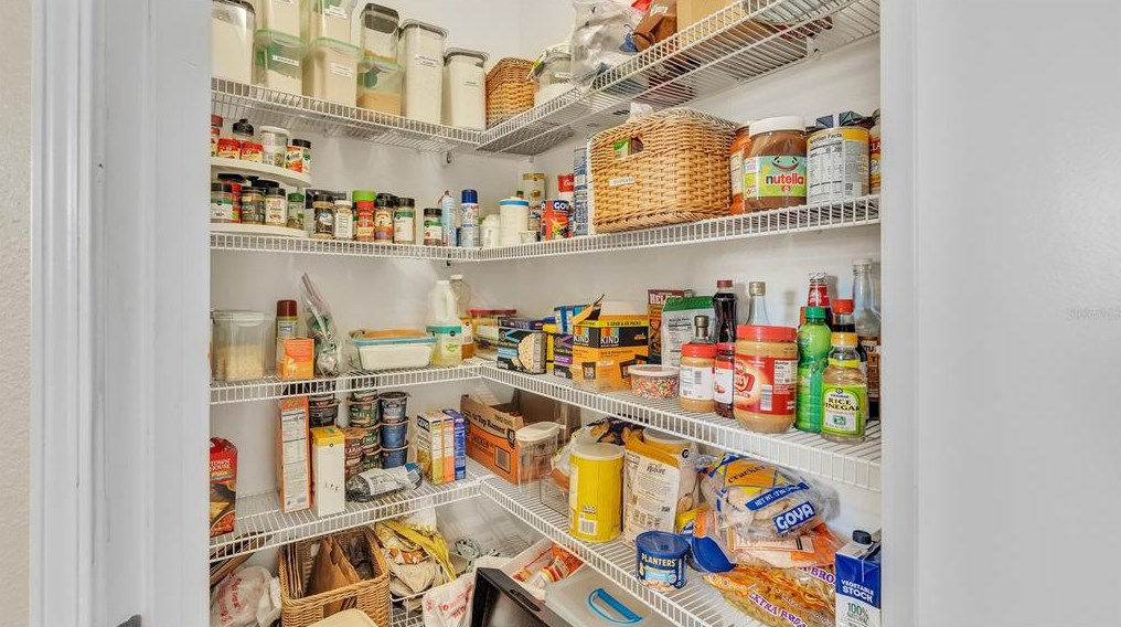 11928 Frost Aster Dr, Riverview FL  33579 exterior