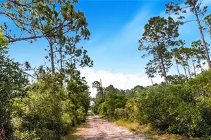 12510 Lake Hatchineha Rd, Haines City, FL 33844 - Photo 47